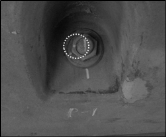 http://static.apub.kr/journalsite/sites/kgs/2015-031-03/N0990310302/images/PIC8312.gif