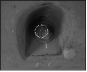 http://static.apub.kr/journalsite/sites/kgs/2015-031-03/N0990310302/images/PIC83FD.gif