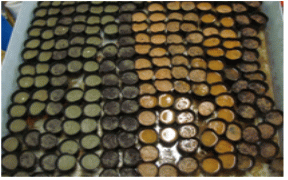http://static.apub.kr/journalsite/sites/kgs/2015-031-05/N0990310505/images/PICE67E.gif