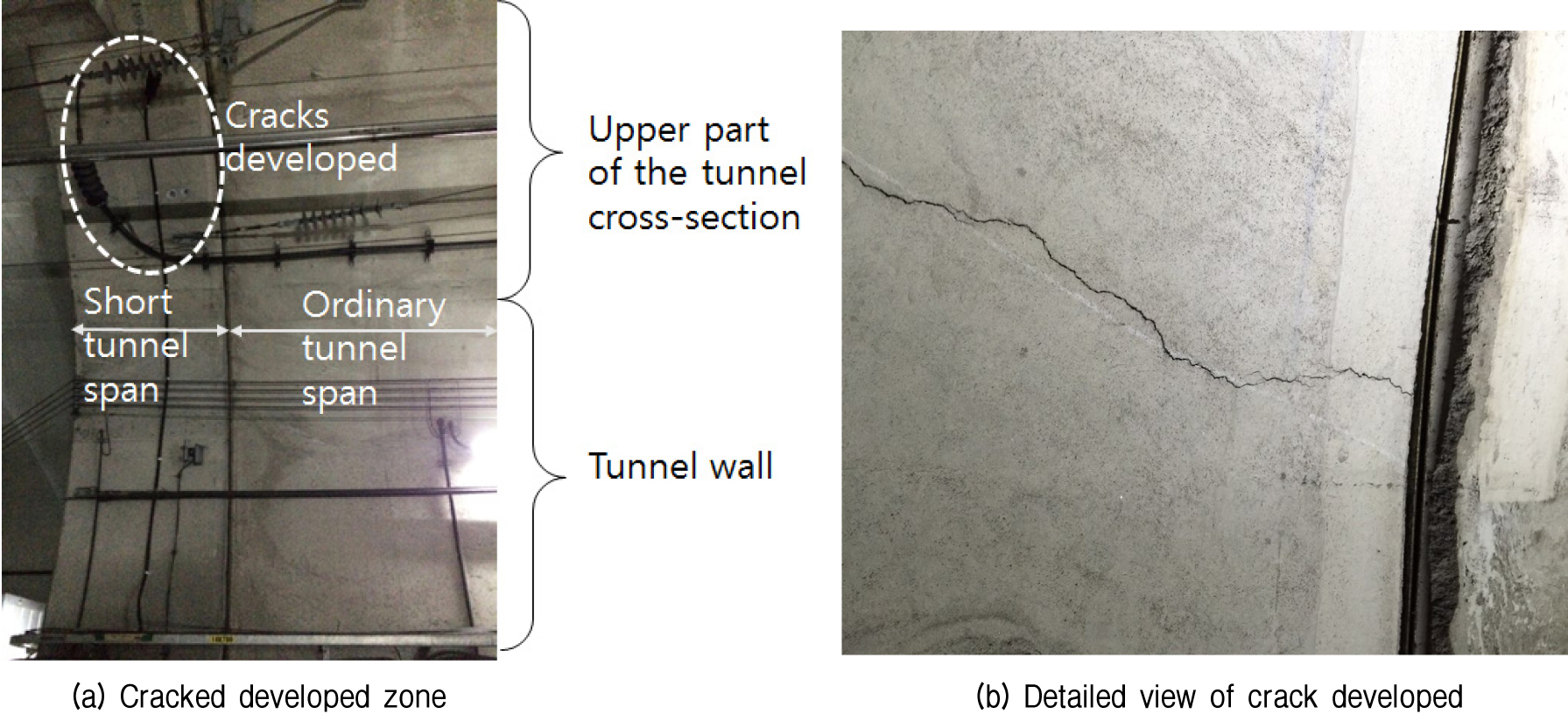 http://static.apub.kr/journalsite/sites/kgs/2015-031-10/N0990311003/images/figure_KGS_31_10_03_F3.jpg