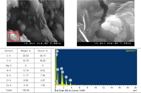 http://static.apub.kr/journalsite/sites/kgs/2015-031-12/N0990311202/images/figure_KGS_31_12_02_F6.jpg