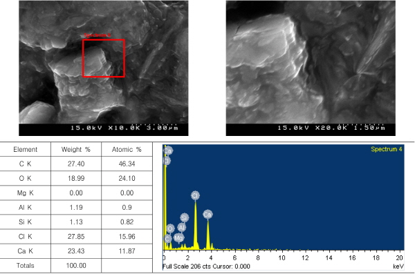 http://static.apub.kr/journalsite/sites/kgs/2015-031-12/N0990311202/images/figure_KGS_31_12_02_F8.jpg