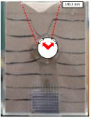 http://static.apub.kr/journalsite/sites/kgs/2016-032-02/N0990320202/images/PIC4E5A.gif
