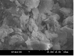 http://static.apub.kr/journalsite/sites/kgss/2013-012-01/N0150120103/images/PICC8F0.gif