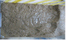 http://static.apub.kr/journalsite/sites/kgss/2013-012-01/N0150120105/images/PIC67A1.gif
