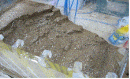 http://static.apub.kr/journalsite/sites/kgss/2013-012-01/N0150120105/images/PIC9847.gif
