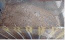 http://static.apub.kr/journalsite/sites/kgss/2013-012-01/N0150120105/images/PICC246.gif