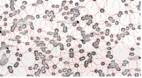http://static.apub.kr/journalsite/sites/kgss/2013-012-01/N0150120106/images/PIC7F9B.gif