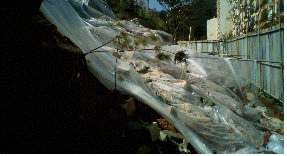 http://static.apub.kr/journalsite/sites/kgss/2013-012-01/N0150120112/images/PIC7A9A.gif