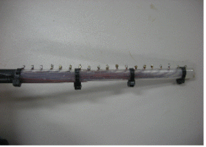 http://static.apub.kr/journalsite/sites/kgss/2013-012-02/N0150120202/images/PIC310B.gif