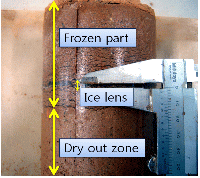http://static.apub.kr/journalsite/sites/kgss/2013-012-02/N0150120202/images/PIC419E.gif