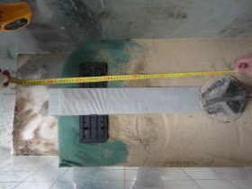 http://static.apub.kr/journalsite/sites/kgss/2013-012-02/N0150120204/images/PIC7481.JPG