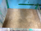 http://static.apub.kr/journalsite/sites/kgss/2013-012-03/N0150120301/images/PIC427C.jpg