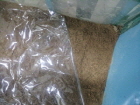http://static.apub.kr/journalsite/sites/kgss/2013-012-03/N0150120301/images/PIC4897.jpg