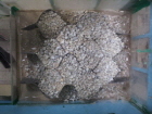 http://static.apub.kr/journalsite/sites/kgss/2013-012-03/N0150120301/images/PIC4F5F.jpg