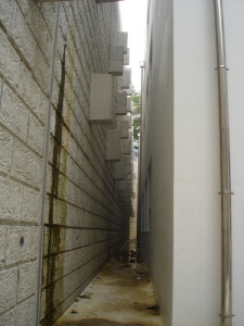 http://static.apub.kr/journalsite/sites/kgss/2013-012-03/N0150120307/images/PIC4389.JPG