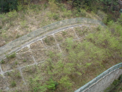 http://static.apub.kr/journalsite/sites/kgss/2013-012-03/N0150120307/images/PIC4AE8.JPG