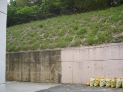 http://static.apub.kr/journalsite/sites/kgss/2013-012-03/N0150120307/images/PIC4CDF.JPG