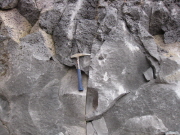 http://static.apub.kr/journalsite/sites/kgss/2013-012-04/N0150120405/images/PIC2236.jpg
