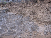 http://static.apub.kr/journalsite/sites/kgss/2013-012-04/N0150120405/images/PICE067.jpg