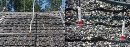 http://static.apub.kr/journalsite/sites/kgss/2013-012-04/N0150120407/images/PIC1C36.gif