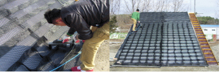 http://static.apub.kr/journalsite/sites/kgss/2013-012-04/N0150120407/images/PICB48.gif