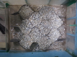 http://static.apub.kr/journalsite/sites/kgss/2013-012-04/N0150120411/images/PIC90C9.jpg