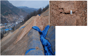 http://static.apub.kr/journalsite/sites/kgss/2014-013-01/N0150130103/images/PICE8F0.gif