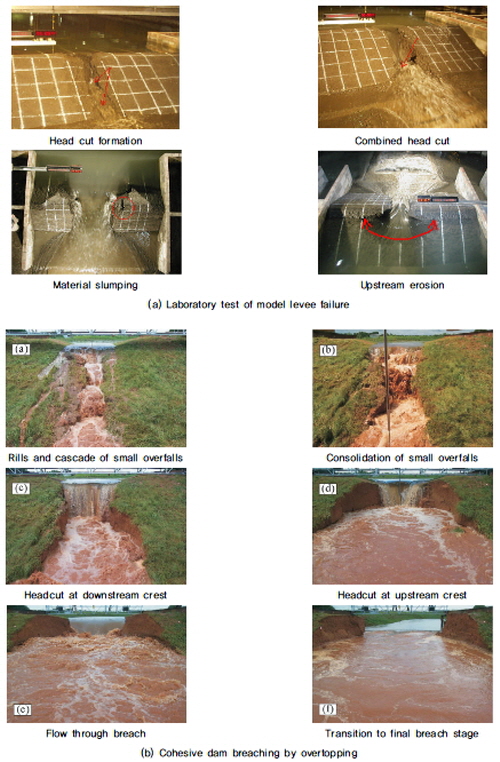 http://static.apub.kr/journalsite/sites/kgss/2015-014-02/N0150140202/images/KGSS_14_2_02_F2.jpg