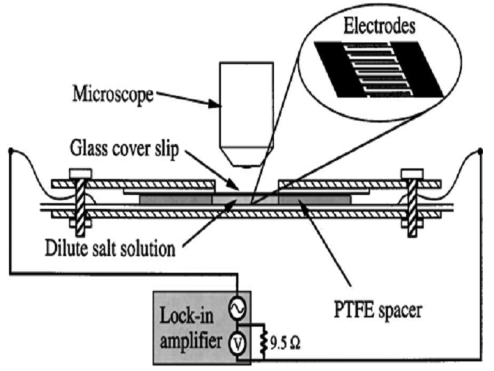 http://static.apub.kr/journalsite/sites/kgss/2016-015-01/N0150150107/images/figure_KGSS_15_1_07_F1.jpg
