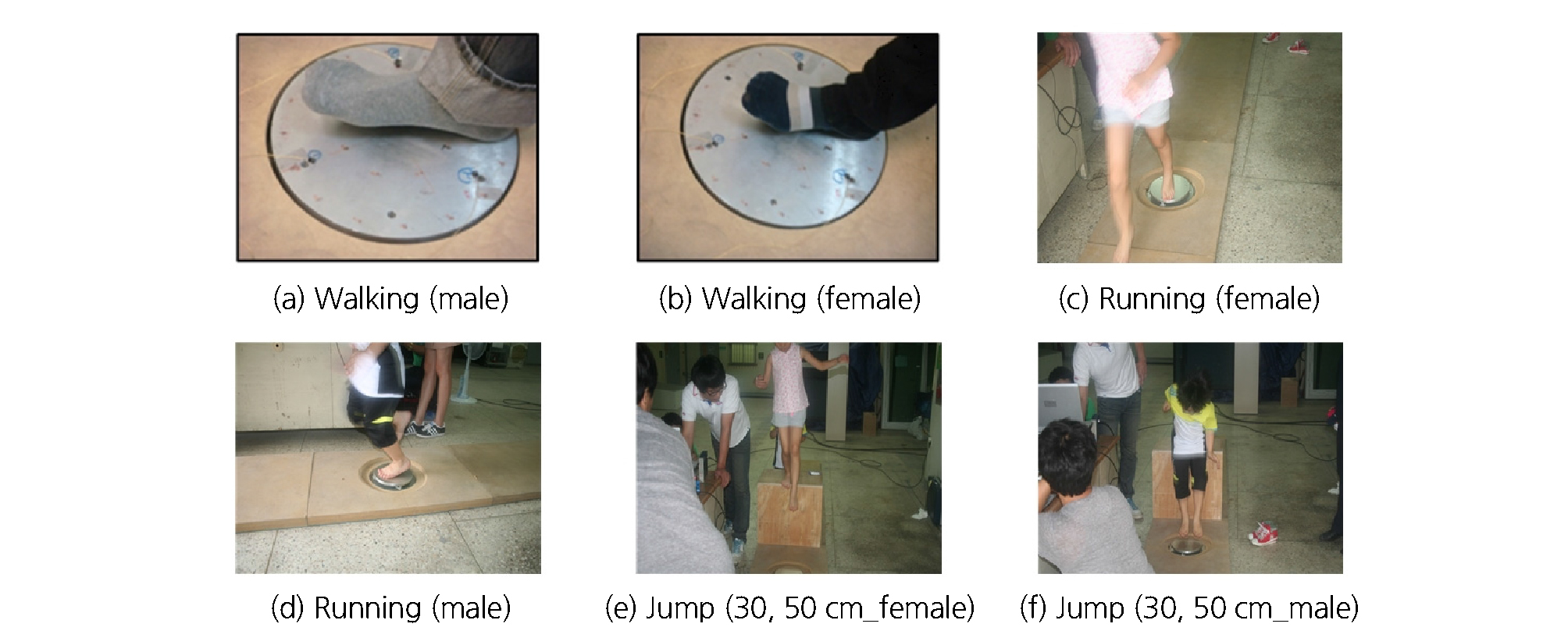 http://static.apub.kr/journalsite/sites/kiaebs/2018-012-04/N0280120406/images/Figure_KIAEBS_12_4_06_F2.jpg