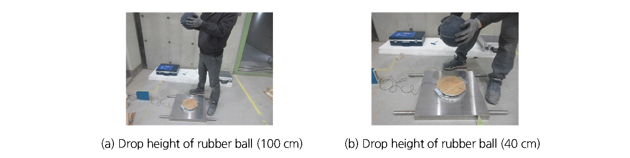 http://static.apub.kr/journalsite/sites/kiaebs/2018-012-04/N0280120406/images/Figure_KIAEBS_12_4_06_F3.jpg