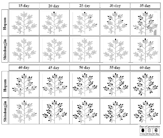 http://static.apub.kr/journalsite/sites/kjcs/2014-059-01/A0350590103/images/KJCS-59-22_F2.jpg