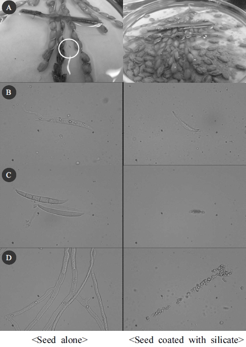 http://static.apub.kr/journalsite/sites/kjcs/2016-061-01/A0350610102/images/KJCS-61-9_F6.jpg