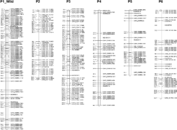 http://static.apub.kr/journalsite/sites/kshs/2014-032-04/N0130320415/images/PIC1201.gif