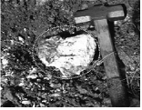 http://static.apub.kr/journalsite/sites/ksmer/2013-050-06/N033050061362/images/PIC41CA.gif