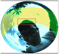 http://static.apub.kr/journalsite/sites/ksmer/2013-050-06/N033050061365/images/PIC75E4.gif