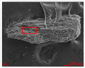 http://static.apub.kr/journalsite/sites/ksmer/2014-051-06/N0330510603/images/PICA8C3.gif