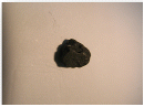 http://static.apub.kr/journalsite/sites/ksmer/2014-051-06/N0330510603/images/PICA8E4.gif