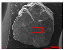 http://static.apub.kr/journalsite/sites/ksmer/2014-051-06/N0330510603/images/PICA913.gif