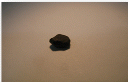 http://static.apub.kr/journalsite/sites/ksmer/2014-051-06/N0330510603/images/PICAB4B.gif