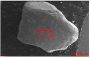 http://static.apub.kr/journalsite/sites/ksmer/2014-051-06/N0330510603/images/PICABAA.gif