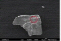 http://static.apub.kr/journalsite/sites/ksmer/2014-051-06/N0330510607/images/PIC19A.jpg