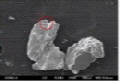 http://static.apub.kr/journalsite/sites/ksmer/2014-051-06/N0330510607/images/PIC2C5.jpg