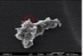 http://static.apub.kr/journalsite/sites/ksmer/2014-051-06/N0330510607/images/PIC315.jpg