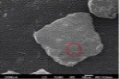 http://static.apub.kr/journalsite/sites/ksmer/2014-051-06/N0330510607/images/PIC3C.jpg