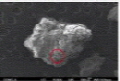 http://static.apub.kr/journalsite/sites/ksmer/2014-051-06/N0330510607/images/PIC9C.jpg