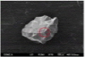 http://static.apub.kr/journalsite/sites/ksmer/2014-051-06/N0330510607/images/PICFF0F.jpg