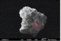 http://static.apub.kr/journalsite/sites/ksmer/2014-051-06/N0330510607/images/PICFF8E.jpg