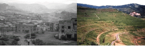 http://static.apub.kr/journalsite/sites/ksmer/2014-051-06/N0330510611/images/PIC72AA.gif